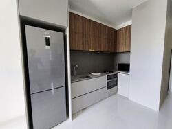 Parksuites (D10), Apartment #543282111